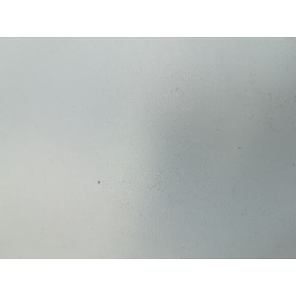 Carry Lite Hen Mallard Paper Mache Decoy Brown‎ Blue Duck Decoy - Picture 9 of 12